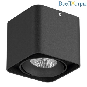Накладной светильник Lightstar Monocco 212517