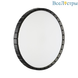 Настенно-потолочный светильник Sonex Pale Atabi Black 7649/DLN