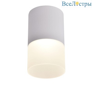 Потолочный светодиодный светильник Favourite Naram 3069-1C