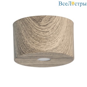 Потолочный светодиодный светильник De Markt Иланг 4 712010201