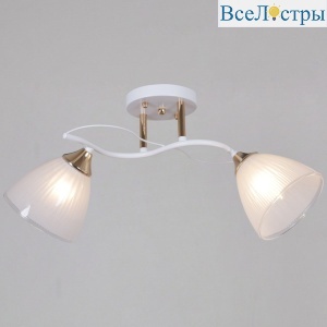 Потолочный светильник Reluce 64460-0.3-02 WH+FG