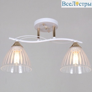 Потолочный светильник Reluce 73460-0.3-02 WH+FG