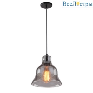 Подвесной светильник Arte Lamp Amiata A4255SP-1SM