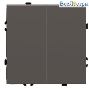 Выключатель 2-клавишный (механизм) Stekker Эмили 250В 10А RSW10-5104-09 антрацит soft touch 49918