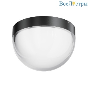 Уличный потолочный светильник Maytoni Mon O438CL-L12GF3K