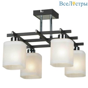 Потолочная люстра Lussole Costanzo GRLSL-9007-04