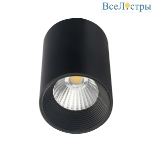 Потолочный светильник 20003 20003SMU/01LED SBK