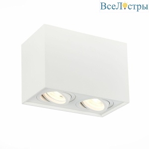 Потолочный светильник ST LUCE ST109.507.02
