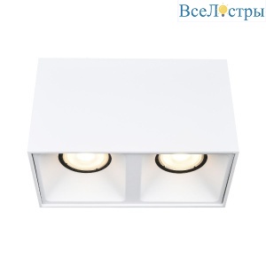 Накладной светильник ST Luce ST168.502.02