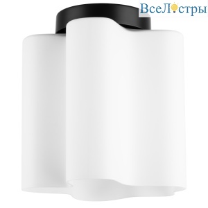 Потолочный светильник Lightstar Nubi 802017
