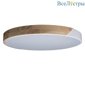 Потолочный светодиодный светильник Loft IT Axel 10004/36 white