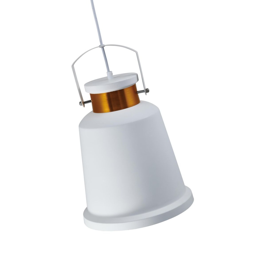 Felex Moderli