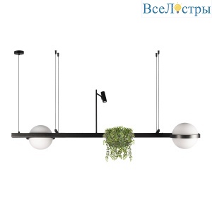 Подвесной светильник Loft IT Jardin 10121/D