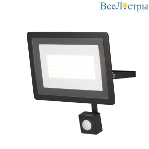 Прожектор Maytoni Flood FL001-L50B4KSR
