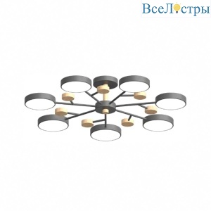 Люстра на штанге LED4U L3205-800 GR