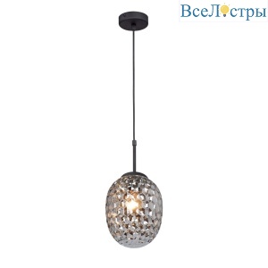Подвесной светильник Vitaluce V2969-1/1S