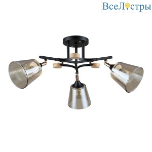 Потолочная люстра Arte Lamp Glassy A5078PL-3BK