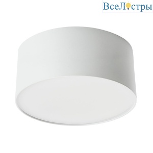 Потолочный светодиодный светильник Feron Simple matte AL200 48076