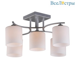 Потолочная люстра Omnilux Pisticci OML-55307-05