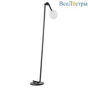 Торшер Lumion Dexter 6500/1F