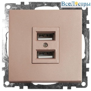 Розетка 2хUSB Stekker Катрин шампань GLS10-7115-02 39602