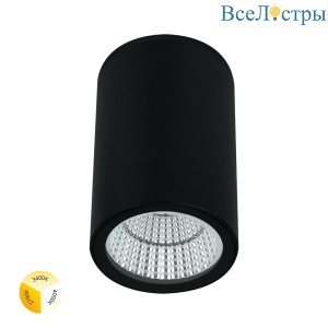 Уличный потолочный светильник Arte Lamp Torcular A1307PF-1BK