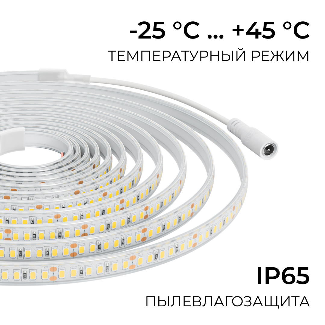 светодиодная лента apeyron 24в, 12 вт/м, 1000 лм/м, 6500к, smd2835, 180 д/м, ip65, 5м 00-449