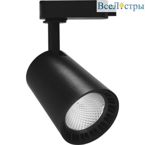 Трековый светодиодный светильник Feron AL100 29643