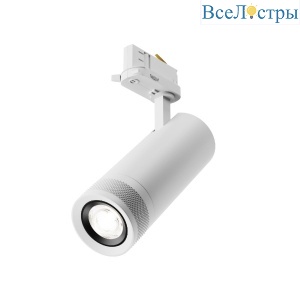 Трековый трехфазный светильник Maytoni Focus Zoom TR198-3-20W4K-Z-W