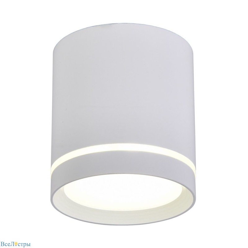 накладной светильник omnilux capurso oml-102409-05