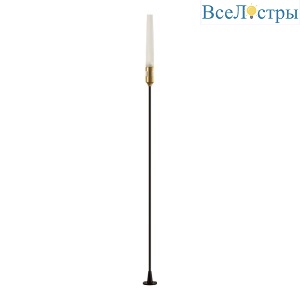 Ландшафтный светильник Odeon Light Canna 7020/4GA