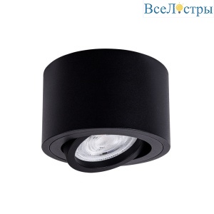Накладной светильник Arte Lamp Unito A2260PL-1BK
