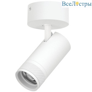 Накладной светильник 20-55G с адаптером Lightstar Canno Pro C4306SO
