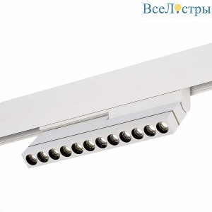 Трековый светодиодный светильник ST Luce ST805.546.12