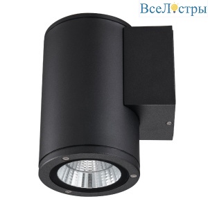 Уличный настенный светильник Uniel ULU-S21С-12W/6400K IP65 BLACK UL-00010846