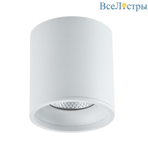 Накладной светильник ST Luce ST165.542.12