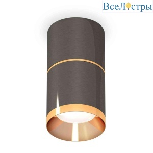 Комплект накладного светильника Ambrella light Techno Spot XS7403081 DCH/PYG черный хром/золото желтое полированное (C7403, A2072, C7403, N7034)