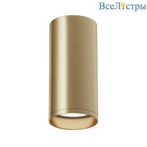 Потолочный светильник Maytoni Focus C010CL-01MG