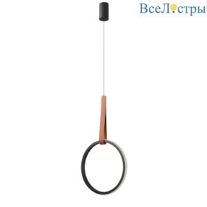 Подвесной светильник De Markt Ральф 675015901