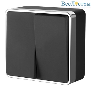 Выключатель двухклавишный Werkel Gallant черный/хром W5020035 4690389164163