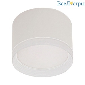 Накладной светильник Reluce 53004-9.5-001LD GX53 WT
