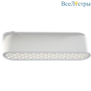 Трековый светильник Wertmark WTH.O21.007.40.06