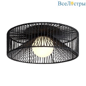Потолочный светильник Freya Cottage FR5405CL-01B