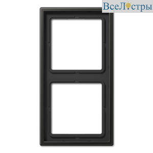 Рамка двухместная Jung AL2982AN