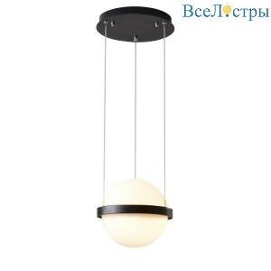 Подвесной светильник DeLight Collection 10228P/1 black