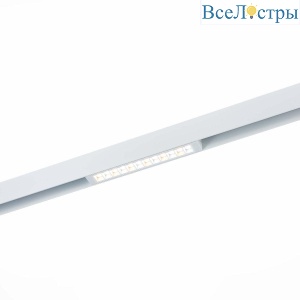 Трековый светодиодный светильник для магнитного шинопровода ST Luce ST655.596.09