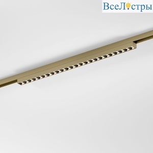 Трековый магнитный светильник Elektrostandard Line Magnetic 85529/01 4690389213670 a069637