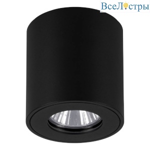 Уличный потолочный светильник Eglo Torrecola 901028