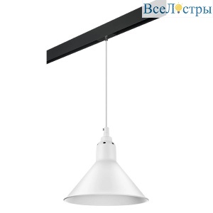 Трековый светильник Lightstar Loft (765026+595007) PRO765026