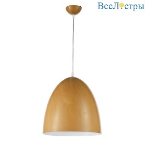 Подвесной светильник Arti Lampadari Bruno E 1.3.P1 BR